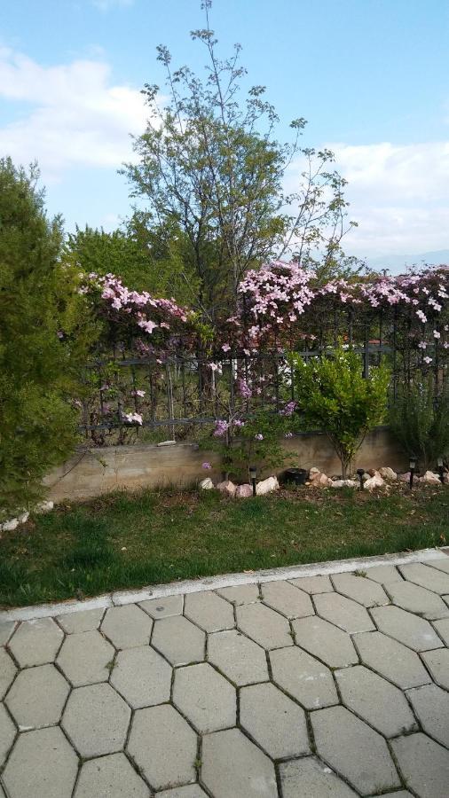 Apartment Dina Skopje Esterno foto